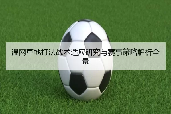 温网草地打法战术适应研究与赛事策略解析全景
