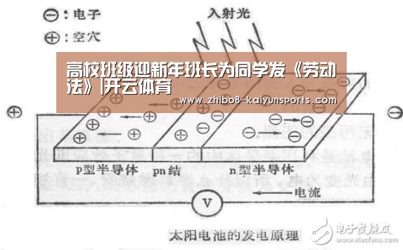 高校班级迎新年班长为同学发《劳动法》|开云体育(图2) 赛事数据